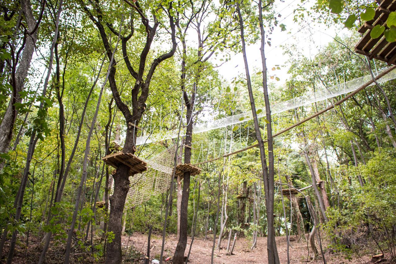 Etno Naselje Vrdnicka Kula Bed & Breakfast เวิร์ดนิค ภายนอก รูปภาพ